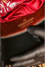 Marruá Desgarrado 10X modelo Alpaca - Imagem 7